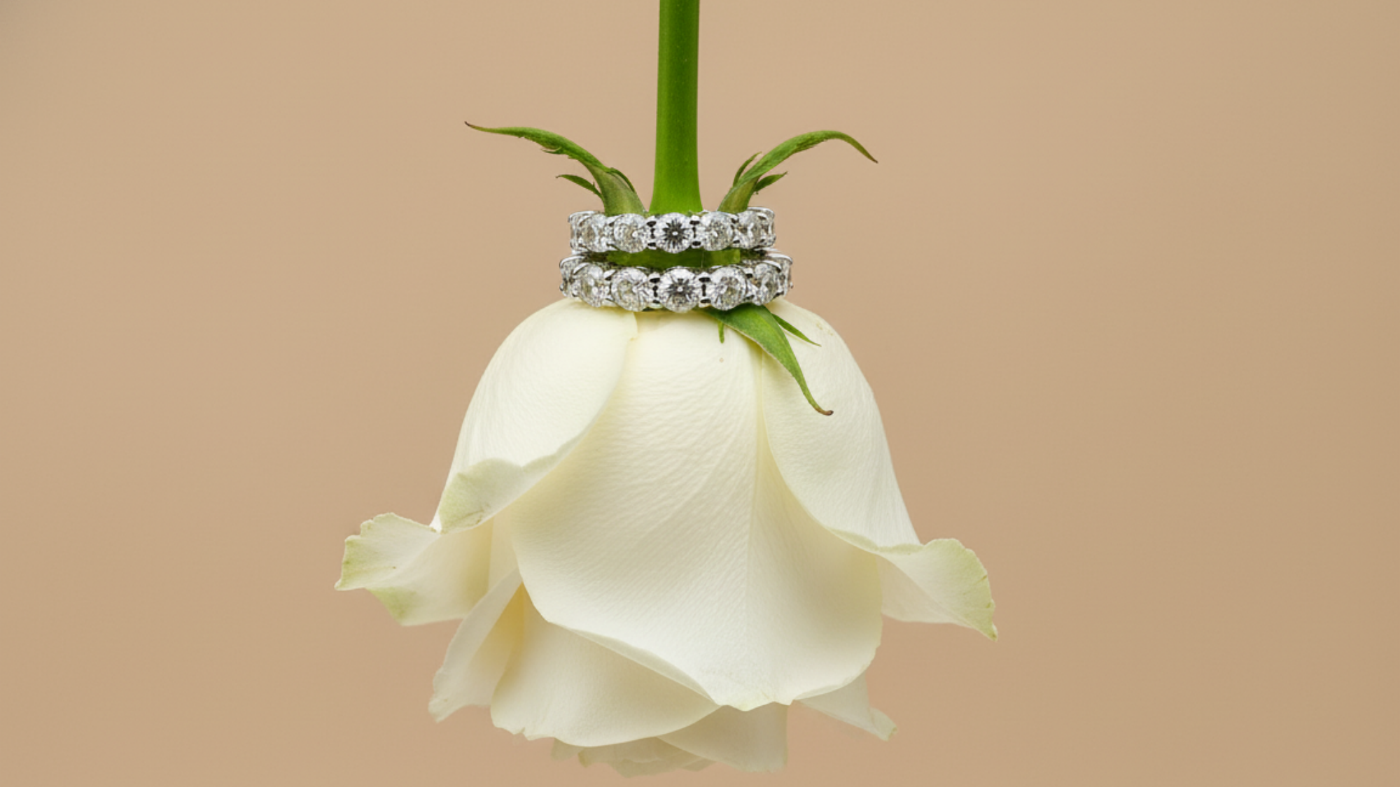 Media alianza vs alianza entera de diamantes: diferencias, ventajas y cuál elegir